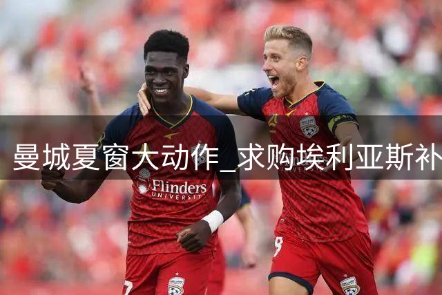 曼城夏窗大动作 求购埃利亚斯补边路